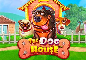 Online Casino Slot Game PP The Dog House